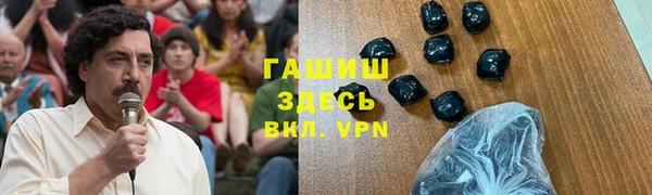 гидра Горнозаводск