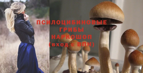 2c-b Горно-Алтайск