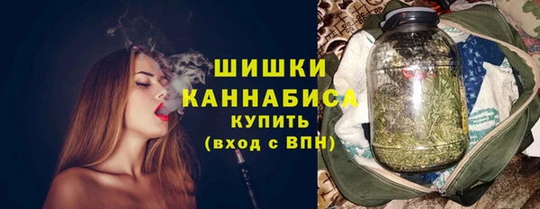 2c-b Горно-Алтайск