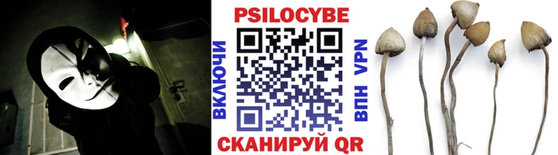 Псилоцибиновые грибы ЛСД  Купить где  Торжок 